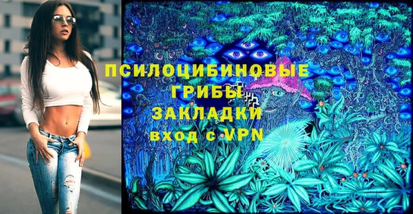 шишки Балабаново